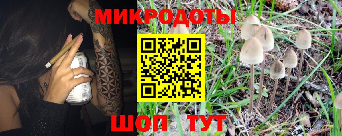 Великий Устюг  Псилоцибиновые грибы Psilocybe  Галлюциногенные грибы Psilocybe  Вход с VPN 