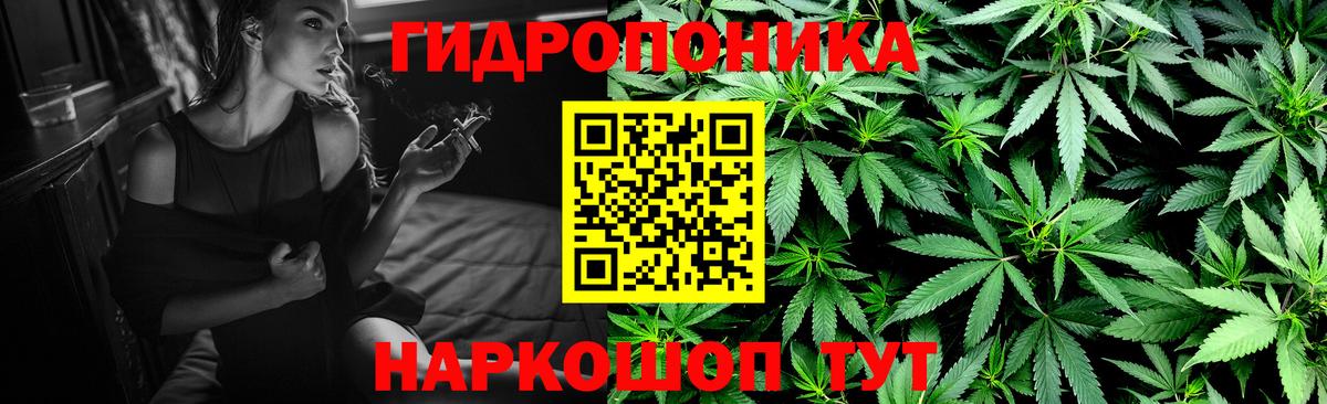 Конопля индика Великий Устюг